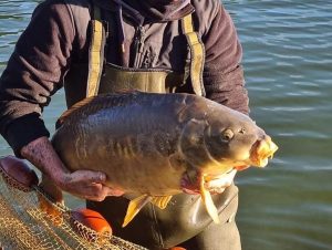 Recent Catches 2021  Milton Pools Fishery