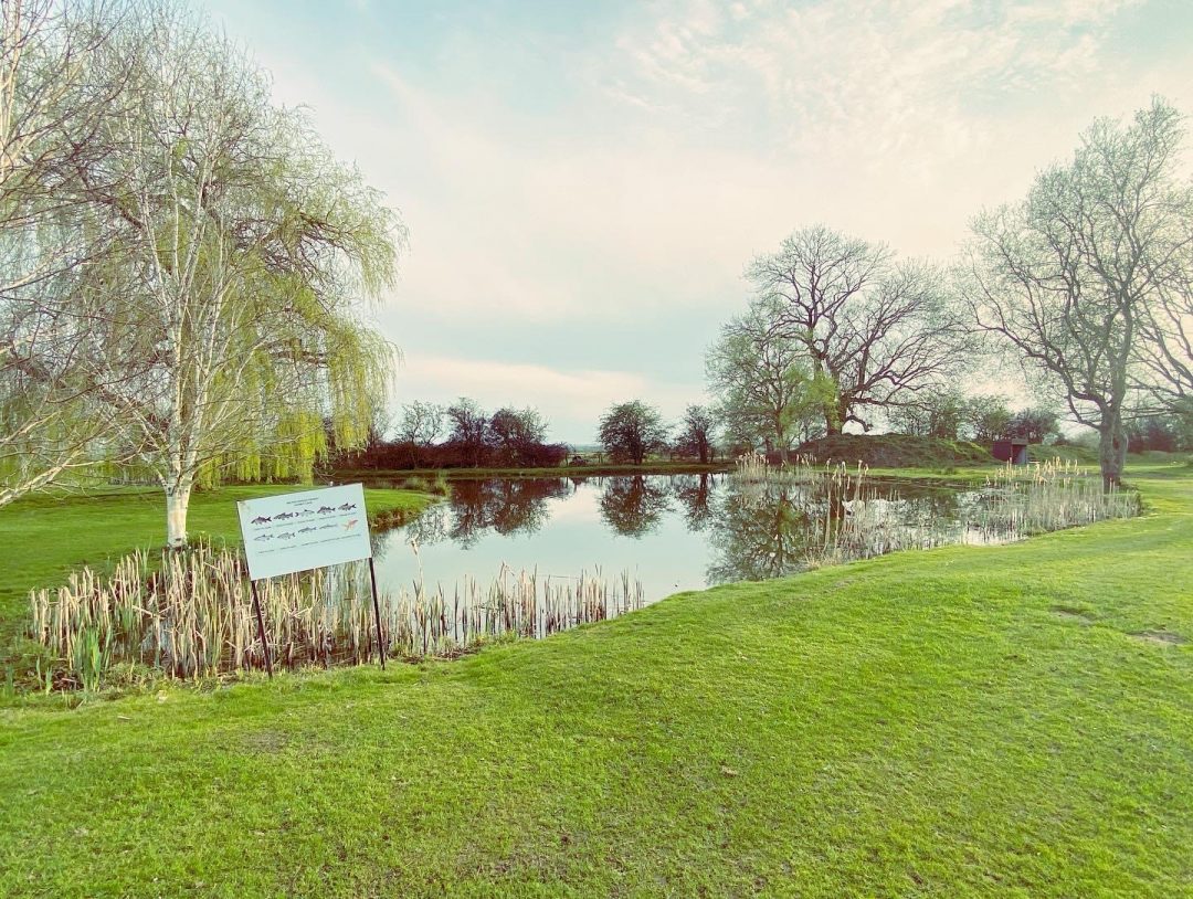 Kidney Lake Milton Pools Fishery