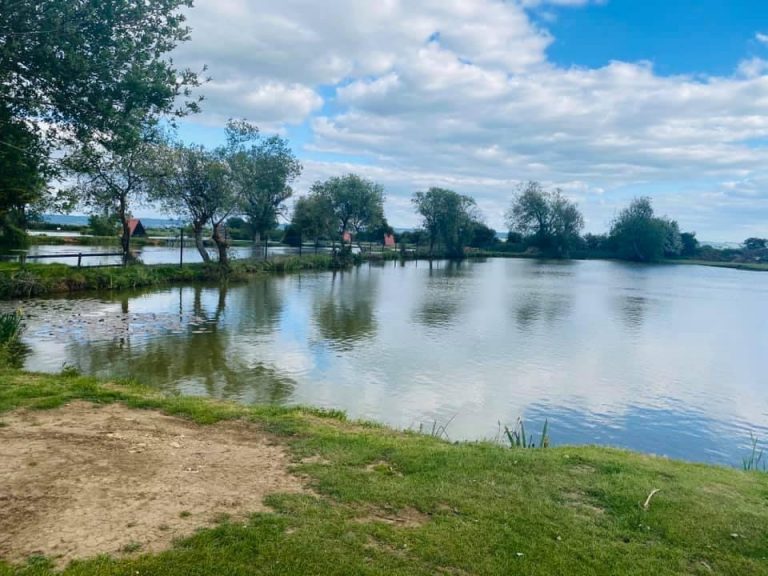 House Lake Milton Pools Fishery